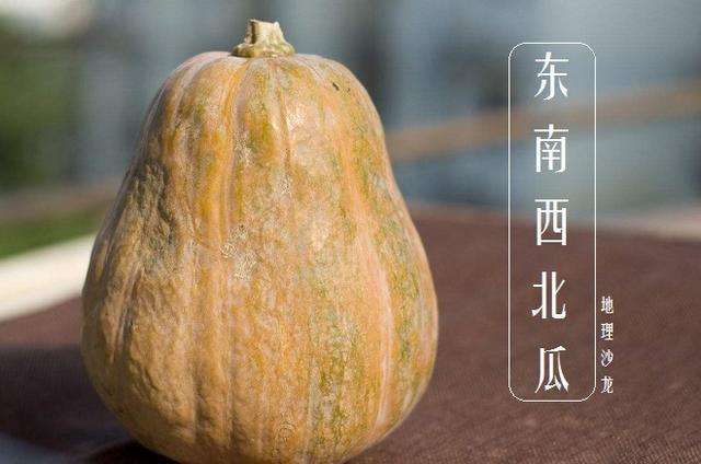 讲解！北瓜是什么“雁过留声”