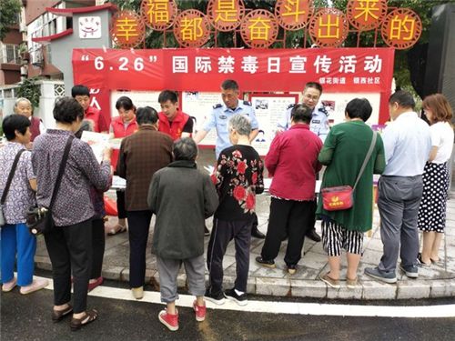 讲解！罗琦个人资料简介“冰清水冷”