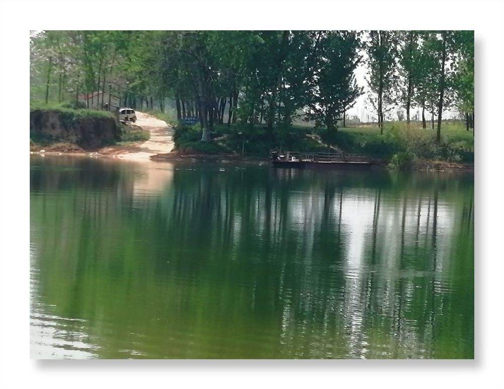 讲解！18大全称“雁过留声”