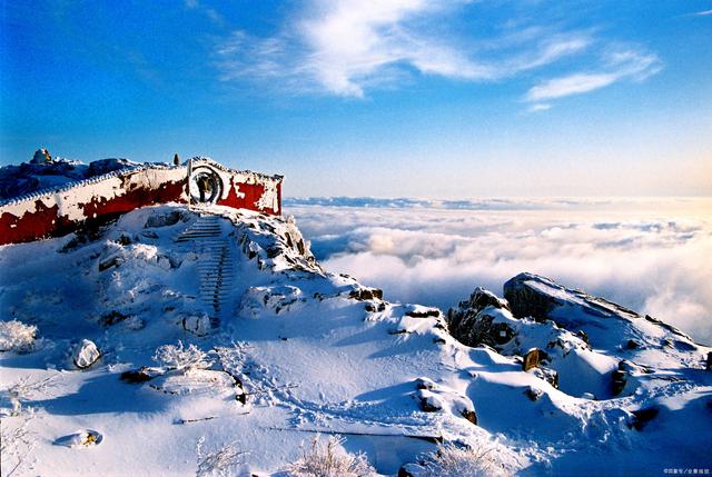 分析！五岳的资料“夏花依旧”