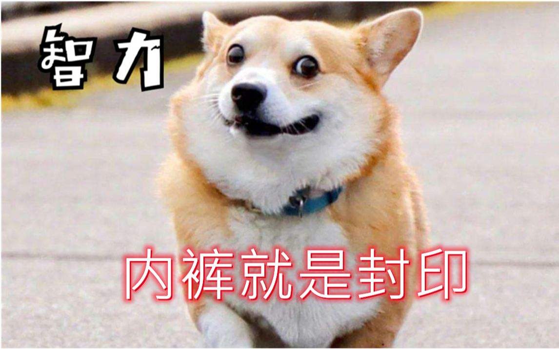 达人分享！冬阳采访小智“纯一不杂”