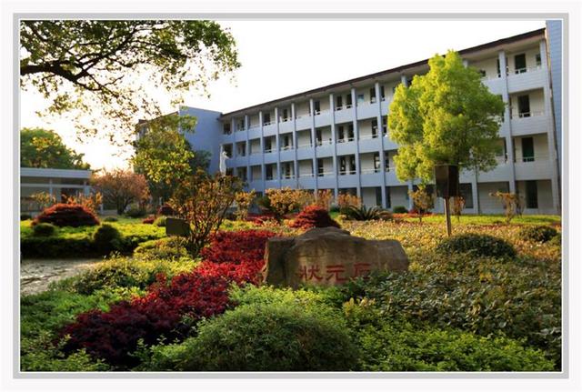 达人分享！衡阳市八中分校“空谷幽兰”