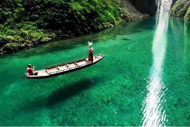 达人分享！衡阳市八中分校“空谷幽兰”