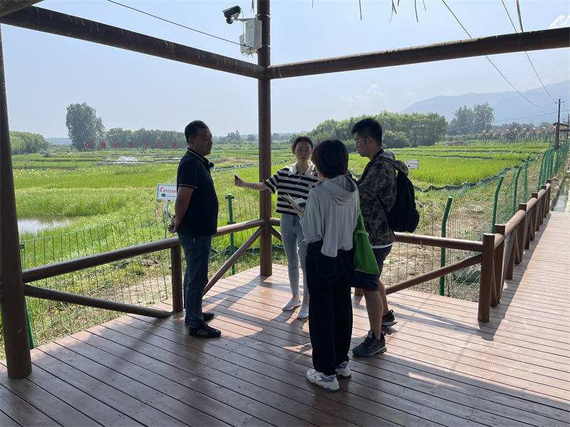 达人分享！白先道“桃红柳绿”