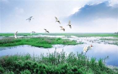 分析！洪泽湖农家乐“星星点点”