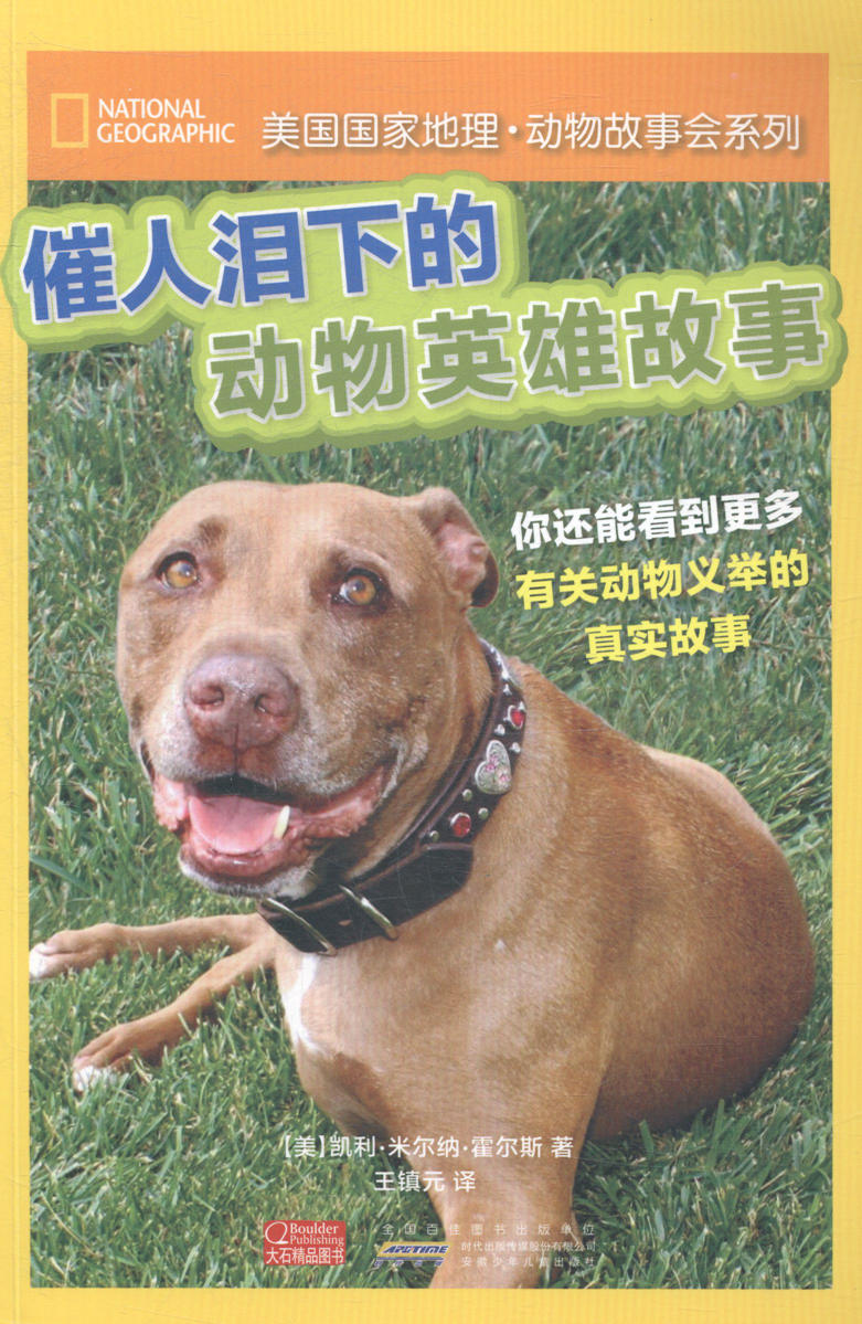 讲解！人是不是动物