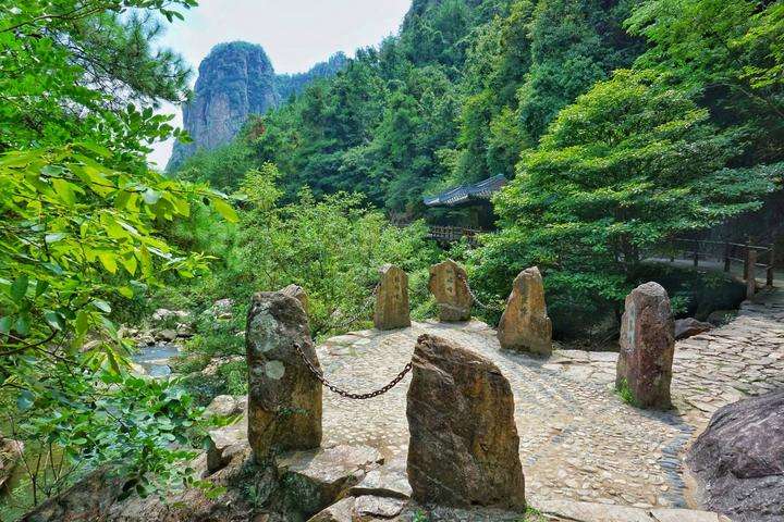 达人分享！什么走龙蛇“桃红柳绿”