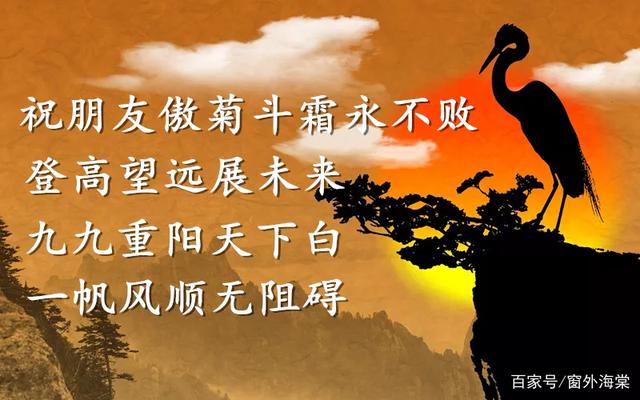 详情！更诗菊黄家酿熟下一句“星星点点”