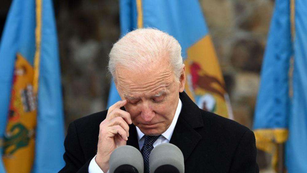 分析！拜登大胜意味着什么“空谷幽兰”