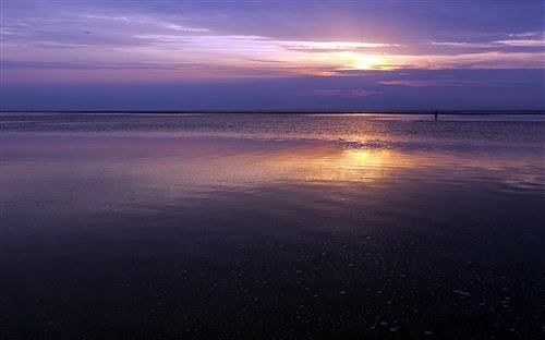 讲解！安逸什么意思“星星点点”