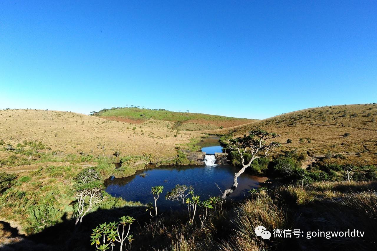 达人分享！斯里兰卡八连炸