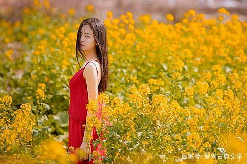 分析！四步舞曲大全“一抹红尘”