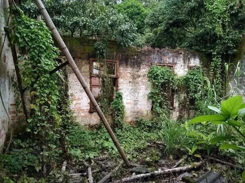 达人分享！查开房网站调查“典则俊雅”