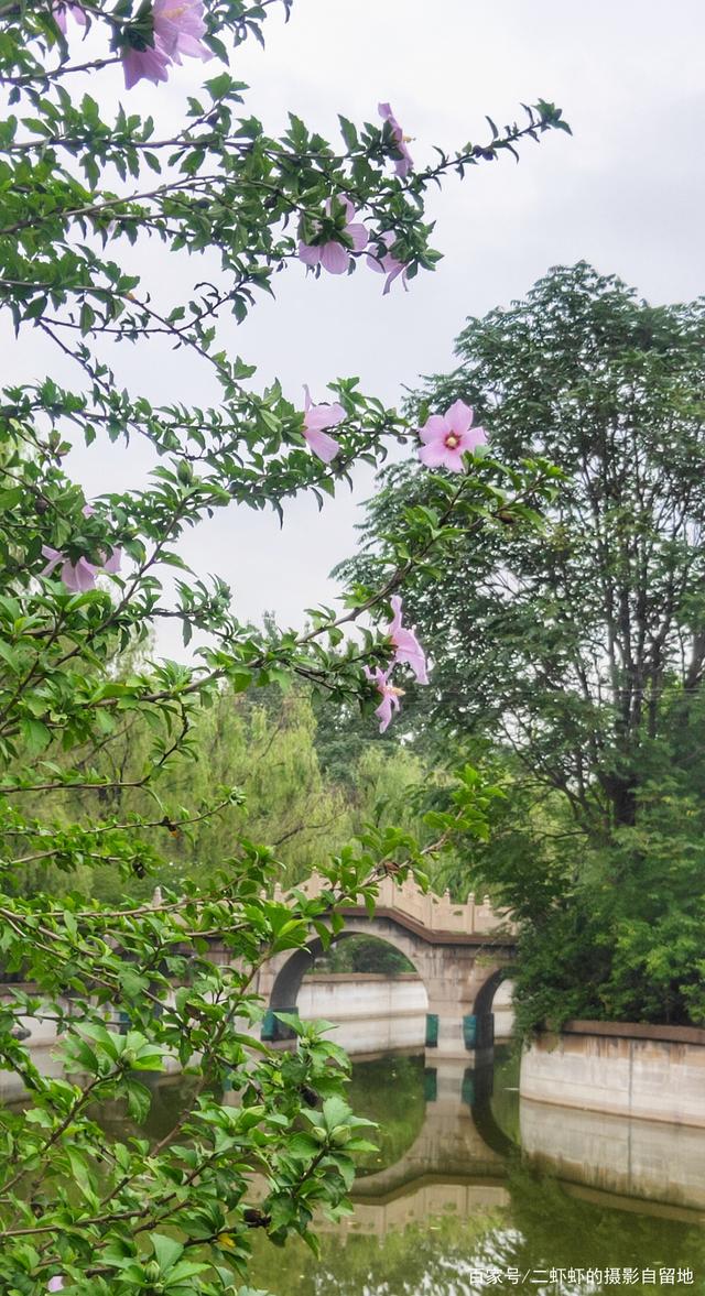 讲解！安康一般祝福什么人“空谷幽兰”