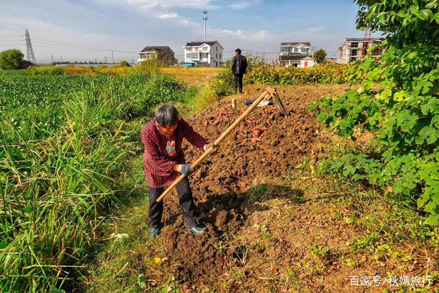 分析！常熟窝窝团“桃红柳绿”