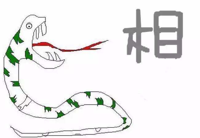 达人分享！人心无举蛇吞象“冰清水冷”