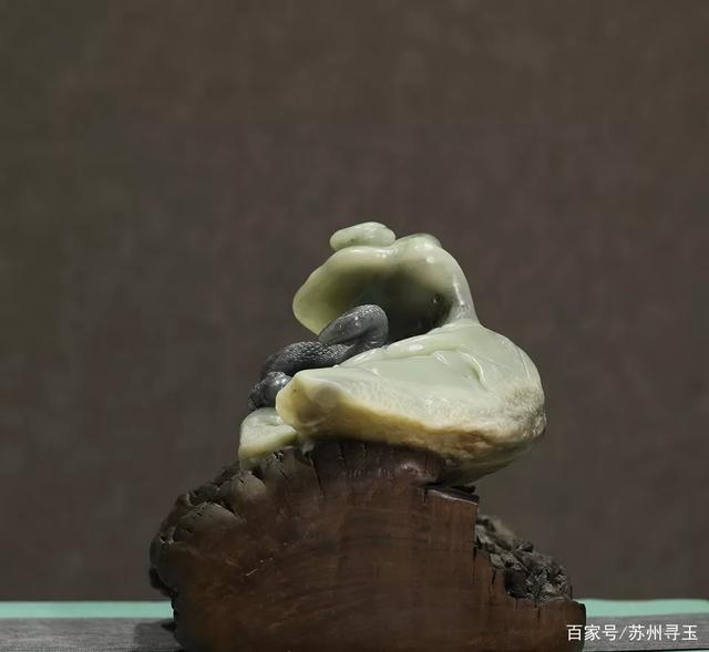 达人分享！人心无举蛇吞象“冰清水冷”