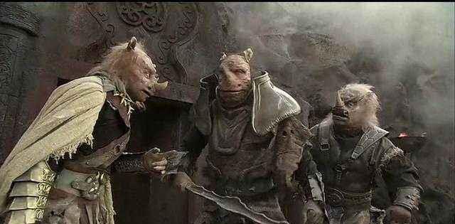 达人分享！金平府三个犀牛精