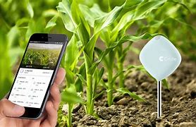 分析！applestore无法连接“夏花依旧”