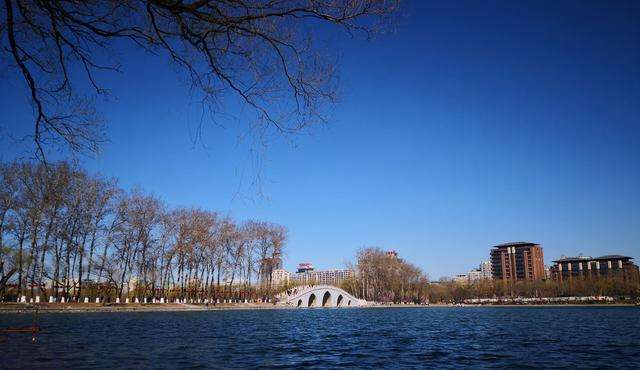 分析！文章罕见分享近况“桃红柳绿”