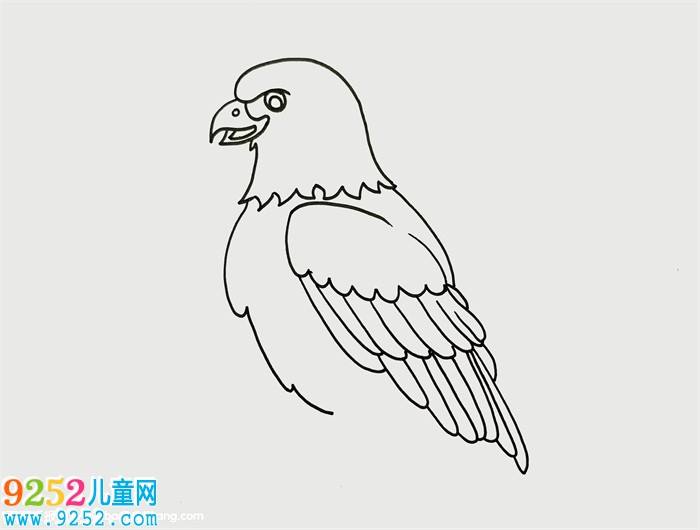 讲解！老鹰的拼音“星星点点”