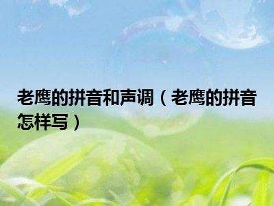 讲解！老鹰的拼音“星星点点”