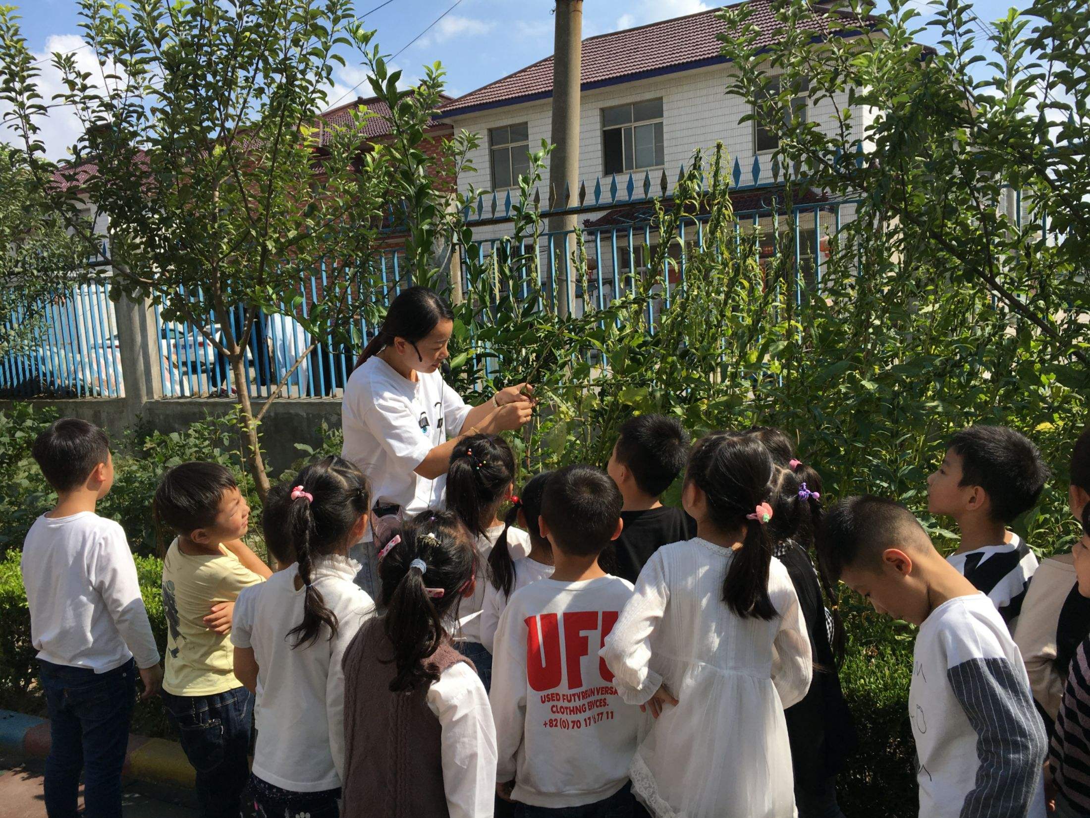 达人分享！什么叫学前教育“星星点点”