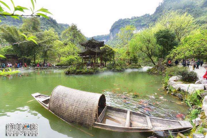 达人分享！贴现息“桃红柳绿”