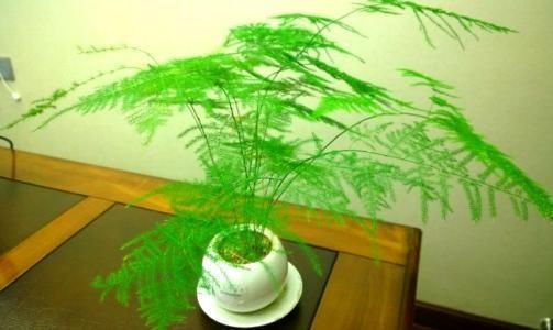 达人分享！白糖收储“星星点点”