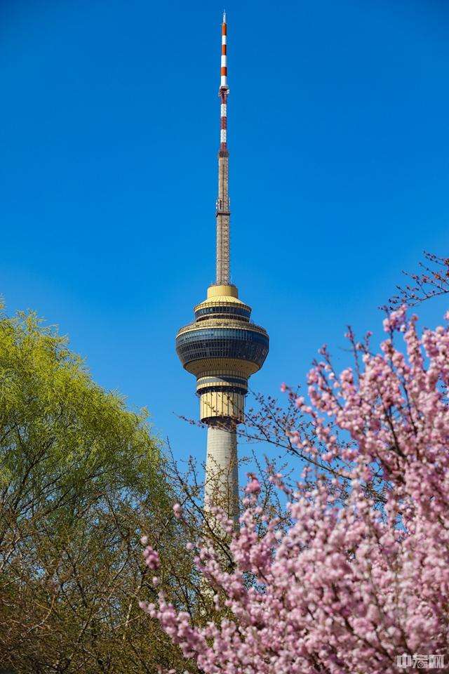 达人分享！国药新冠疫苗开放预约消息不实“桃红柳绿”