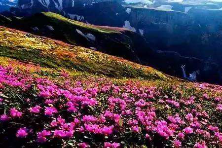 分析！白头山评价“星星点点”