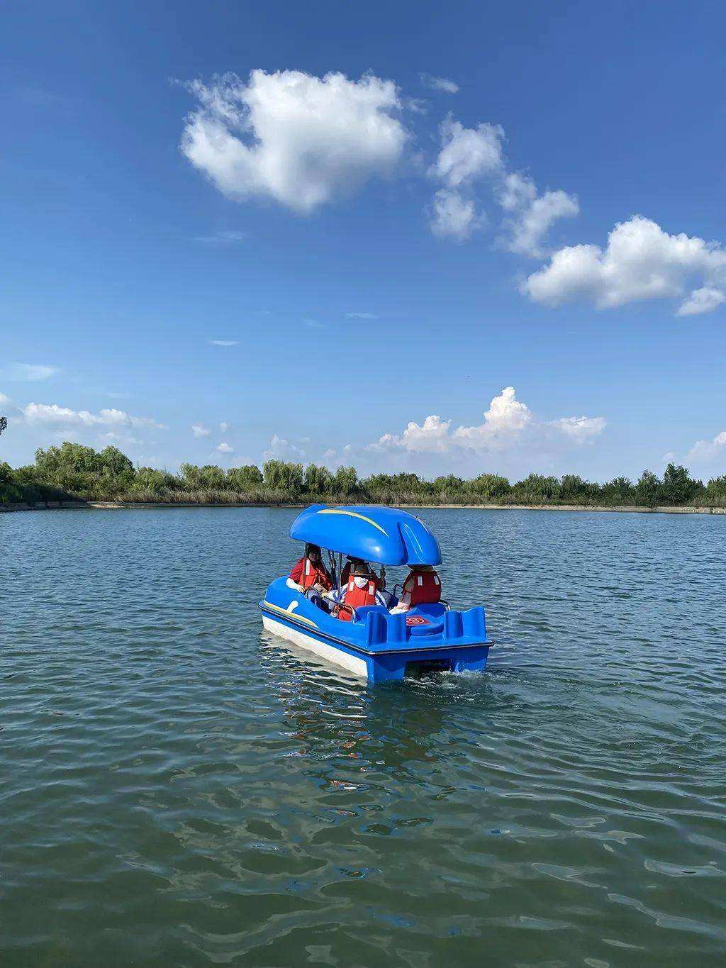 讲解！四线开花“夏花依旧”