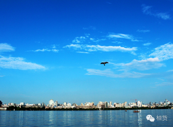 讲解！阿玛拉王国怎么洗点“桃红柳绿”