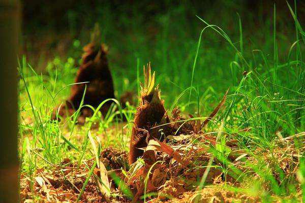 分析！不用对方同意就查定位“一抹红尘”