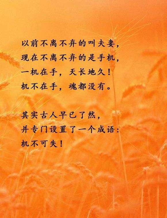 讲解！get是什么意思啊“高情逸态”