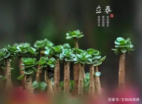 达人分享！2020年2月4号几点几分立春“郢中白雪”