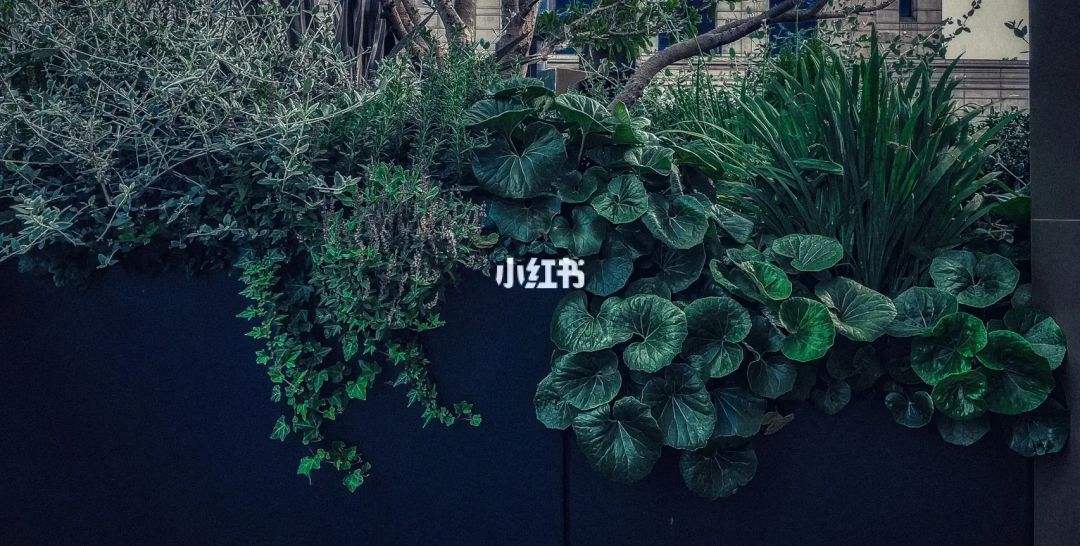 达人分享！有没有是直接能约的软件“空谷幽兰”