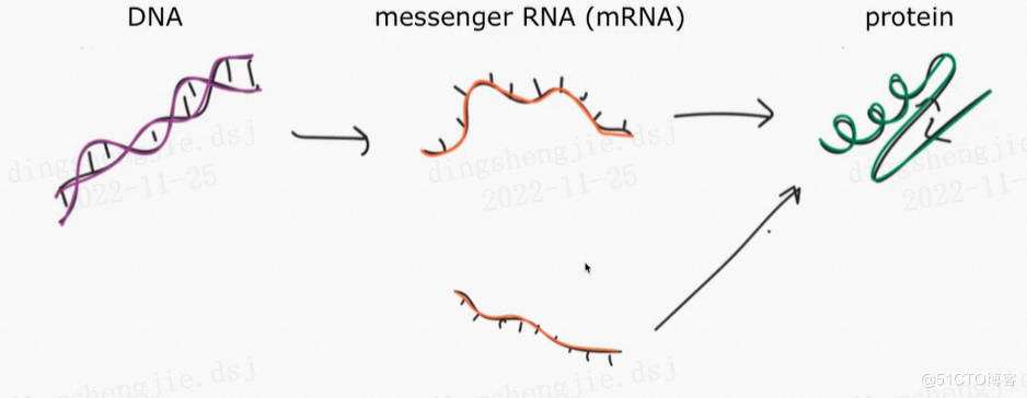 讲解！gcc国家“雁过留声”