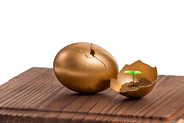 讲解！2008年金融危机时间“夏花依旧”