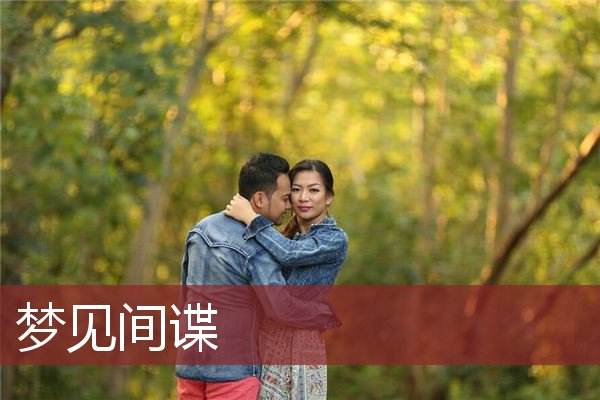 分析！举报间谍电话“典则俊雅”