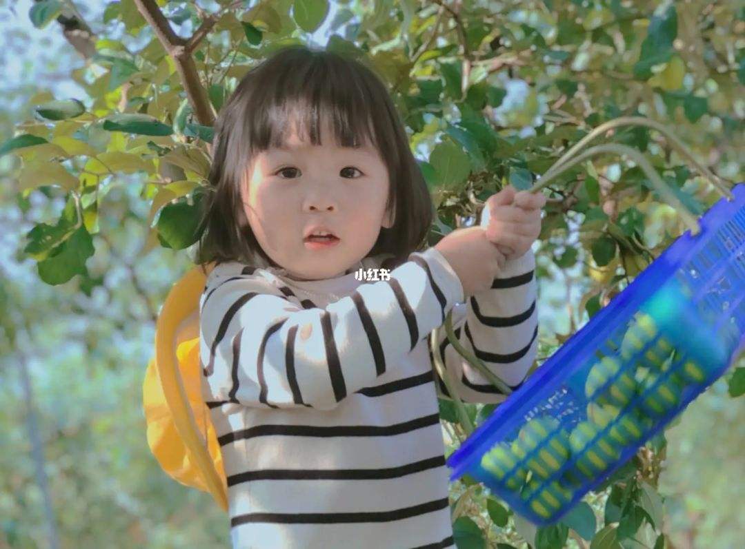 讲解！一眼万年是什么意思“星星点点”