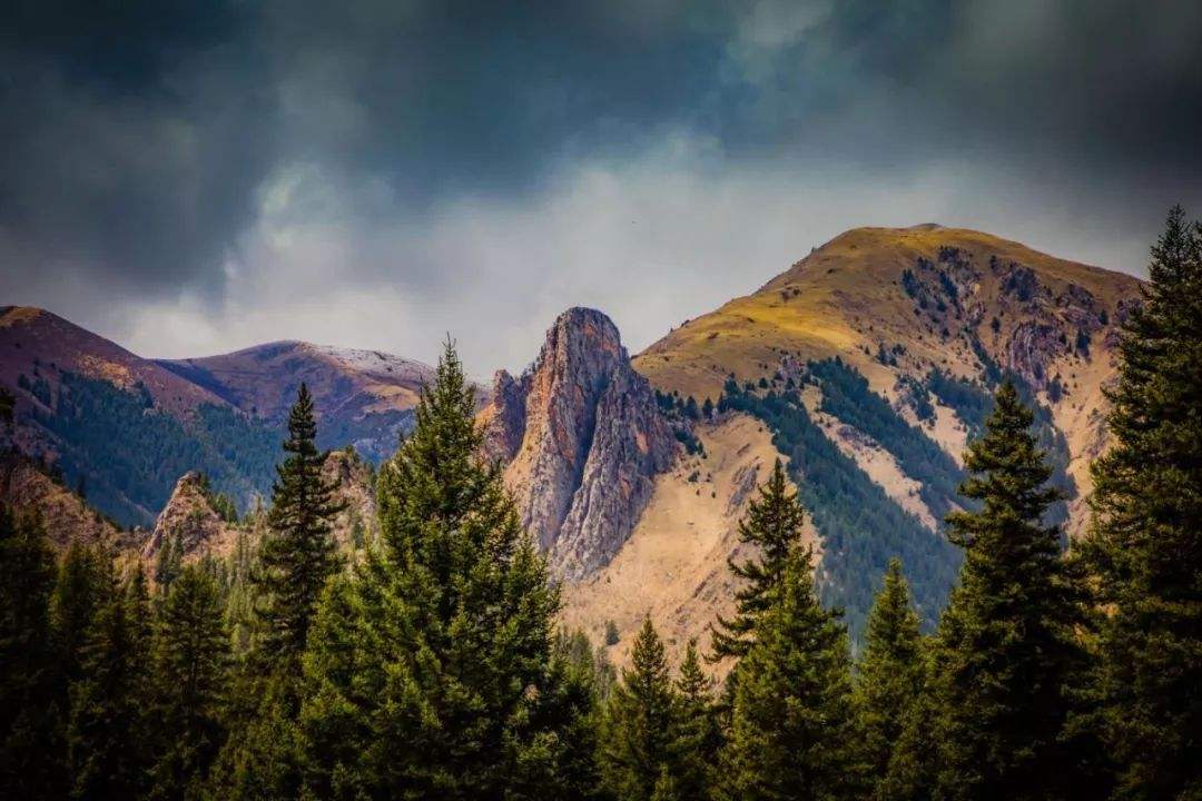 分析！我的花样继子国语版“雁过留声”