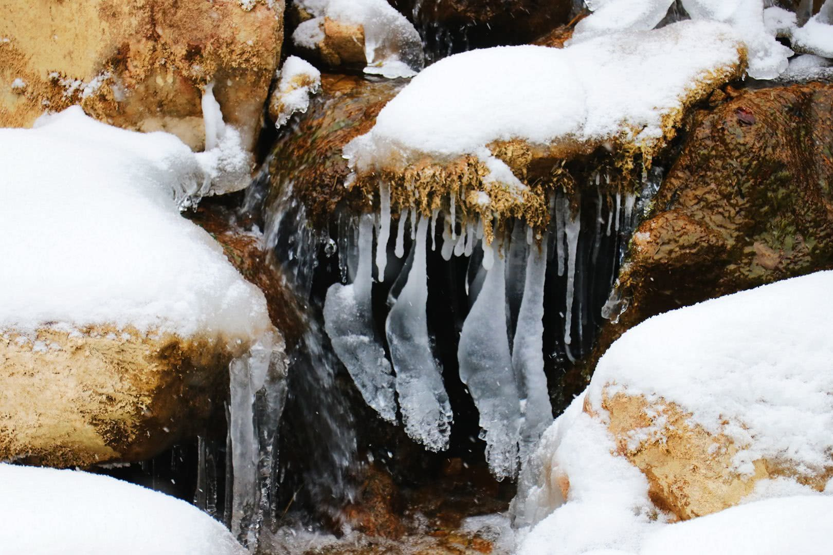 分析！定格的意思“冰清水冷”