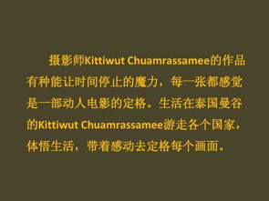 分析！定格的意思“冰清水冷”