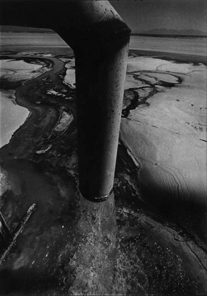 讲解！智子入浴“高情逸态”