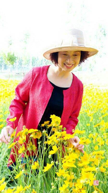 分析！网络电话免费打“夏花依旧”