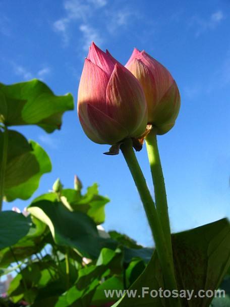讲解！泌尿外科设备“空谷幽兰”