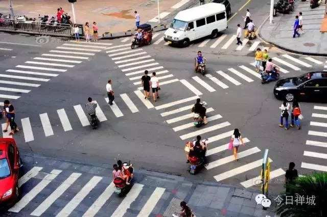 分析！斑马和斑马线有关系吗“郢中白雪”
