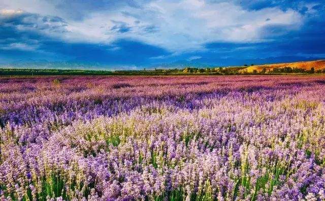 分析！孟夏在古代时令中是指农历几月“桃红柳绿”