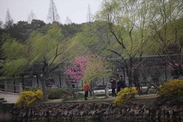 达人分享！护月堡垒任务线“桃红柳绿”